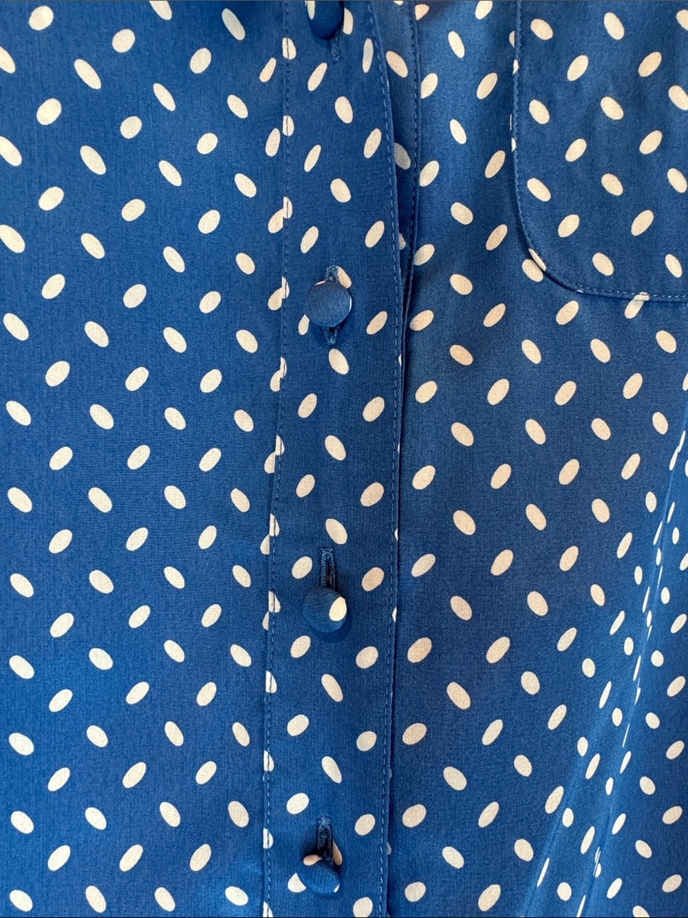 Vintage Polka Dot Dress - Picture 7 of 7